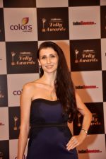 Claudia Ciesla at Indian Telly Awards in Filmcity, Mumbai on 9th Sept 2014